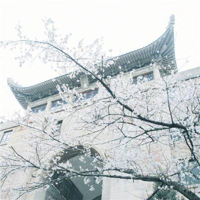 《华安固事》之四 | 郑如熙：以“深耕”精神，做好市场的“有心人”